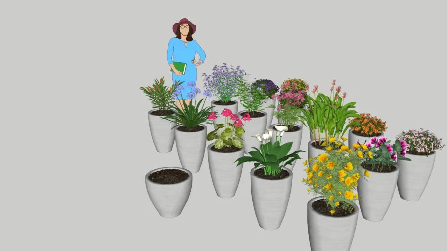 Plantas 3