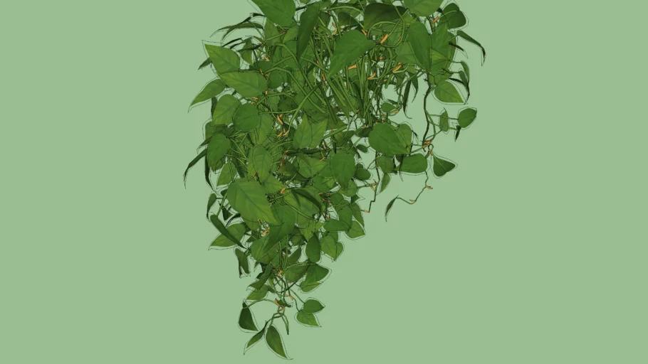 Enredadera