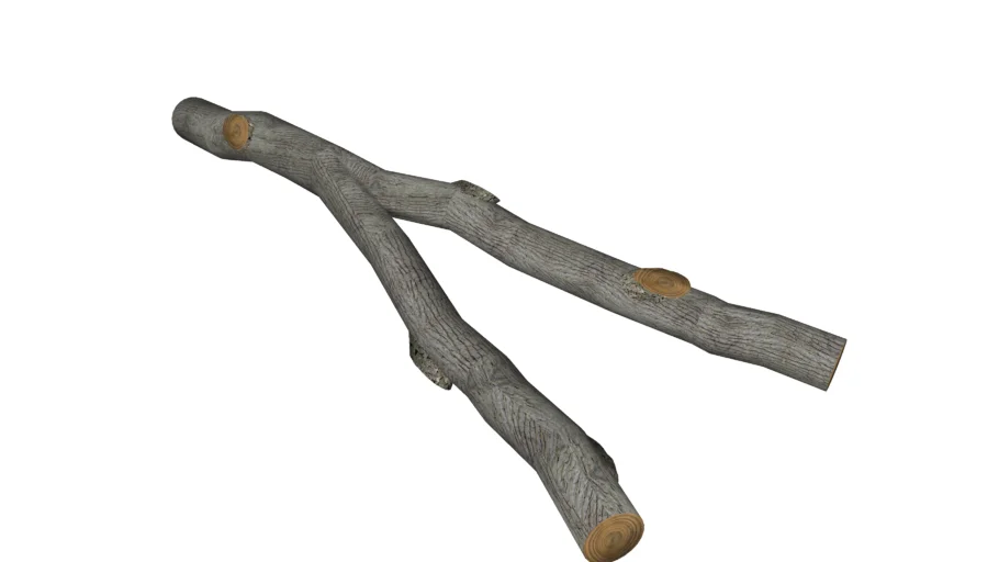 Split Tree Branch