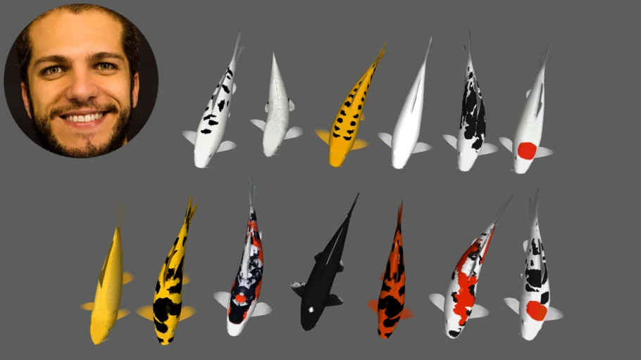 Koi Carpas - Nishikigoi - Curso Desenho de Lagos com SketchUp