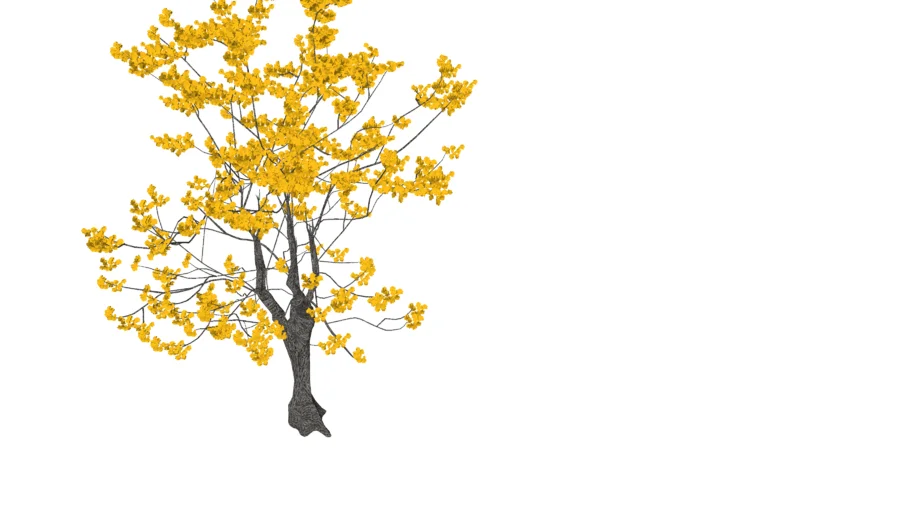 IPÊ AMARELO