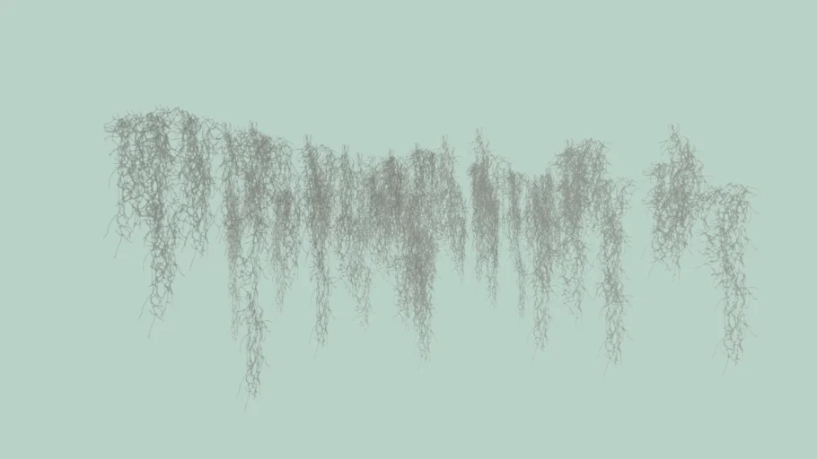 Spanish Moss