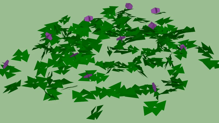 plant