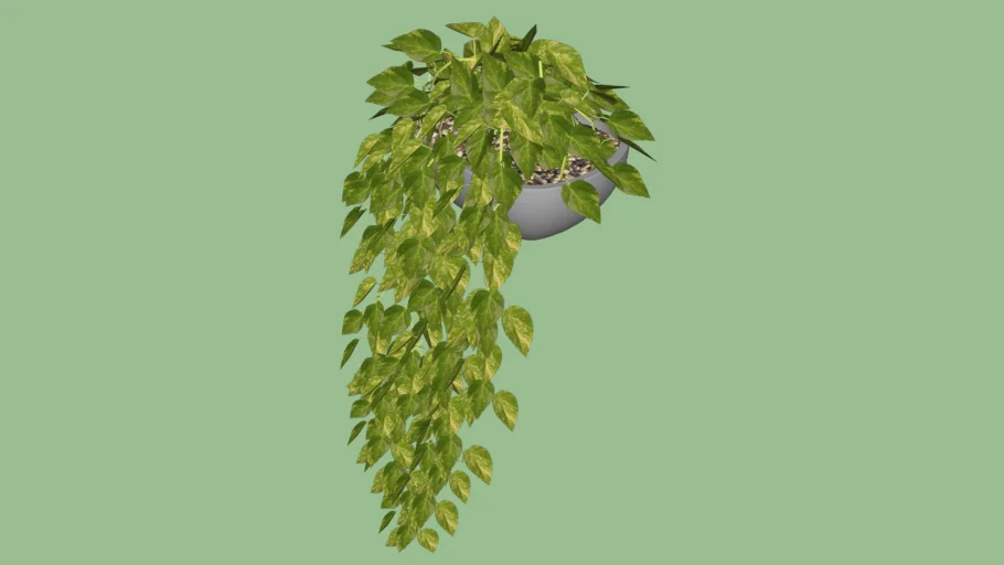 vaso planta caindo