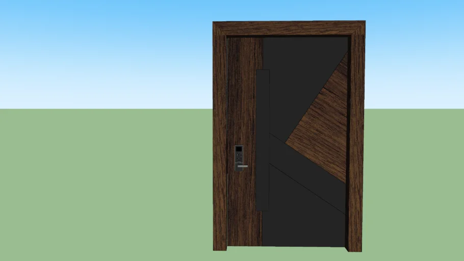 Modern door