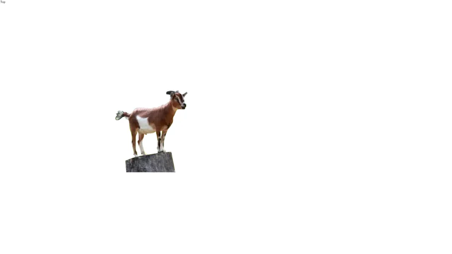 goat