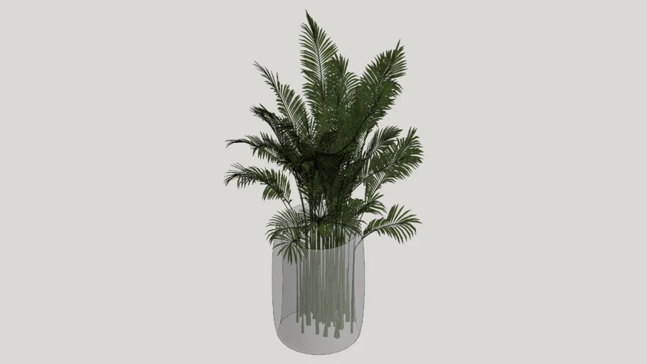 Planta decorativa
