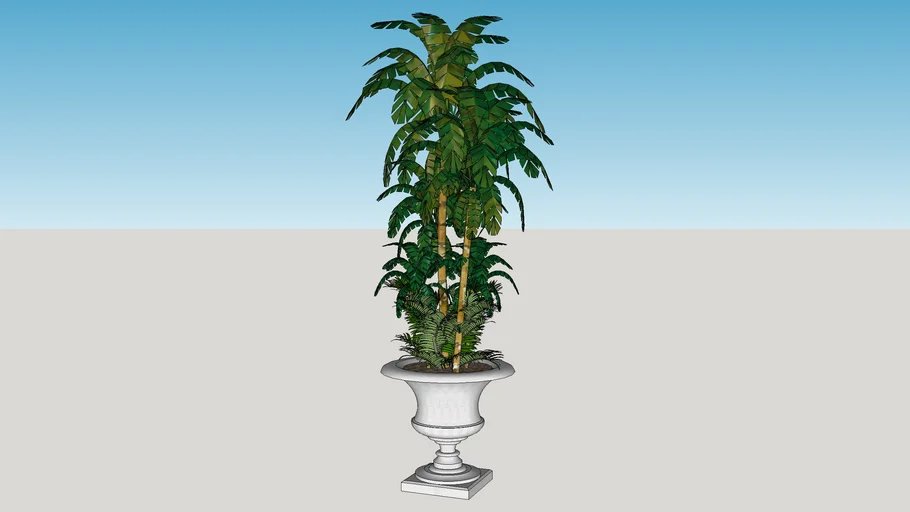 vaso com plantas