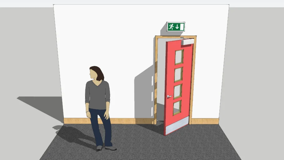 Fire Exit Door
