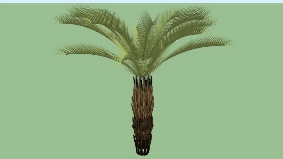 FENIX