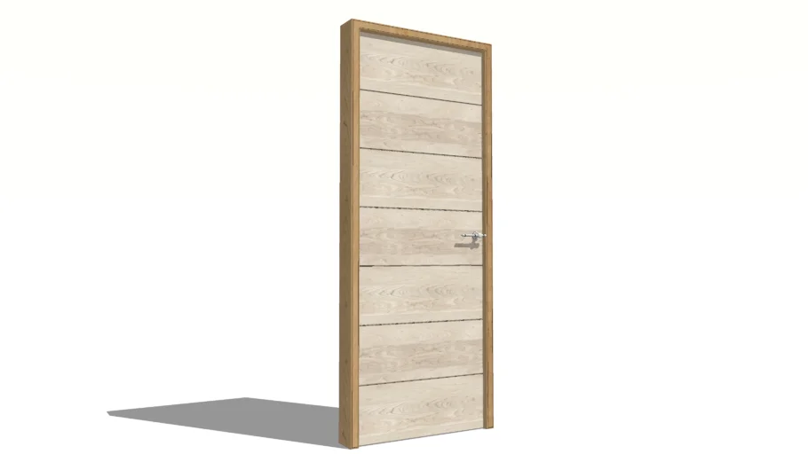 Modern Door