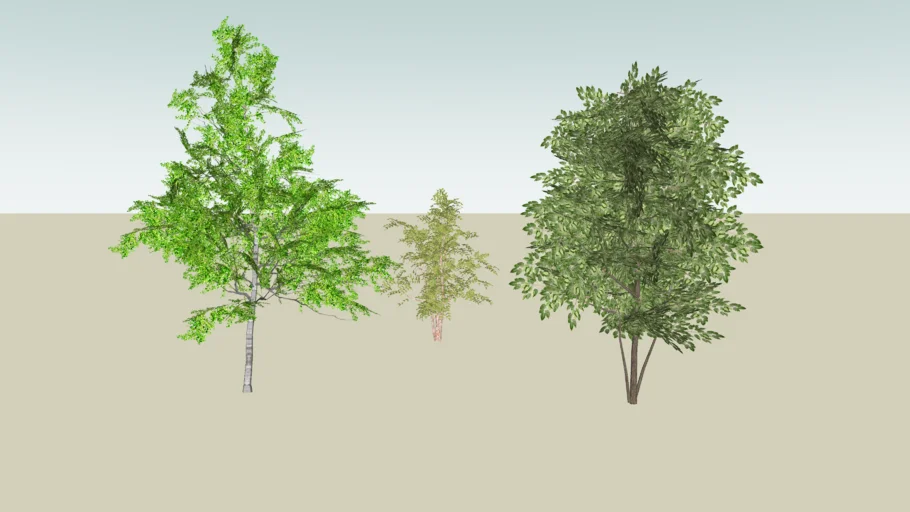 3D trees