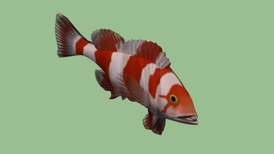 3D fish | 3D Warehouse