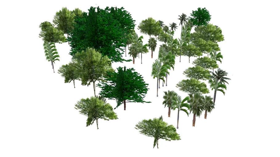 Botanic Garden Trees 04