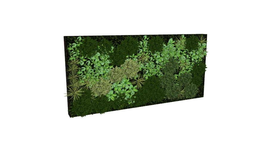 moss wall