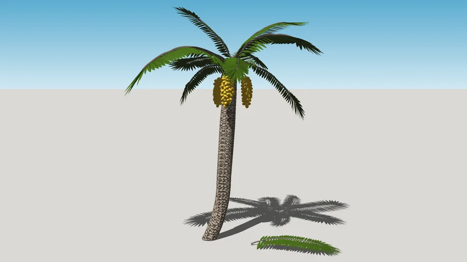 3D Palm Tree
