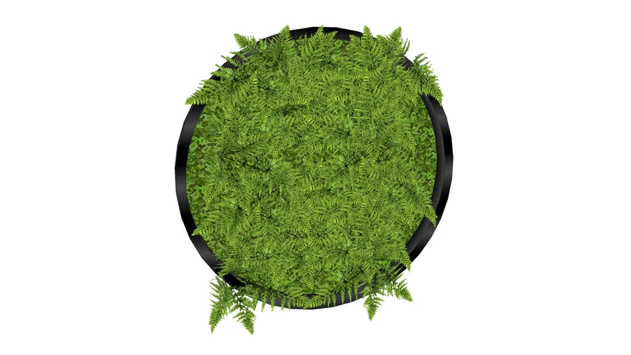 plant 3