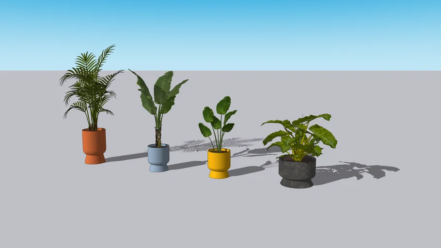 Plants | 3D Warehouse