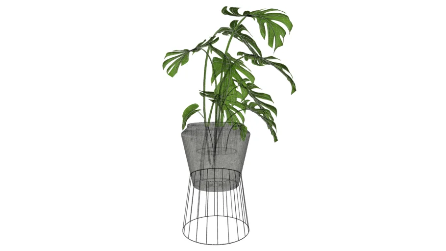 monstera deliciosa cool modern plant interior high quality scandinavian style