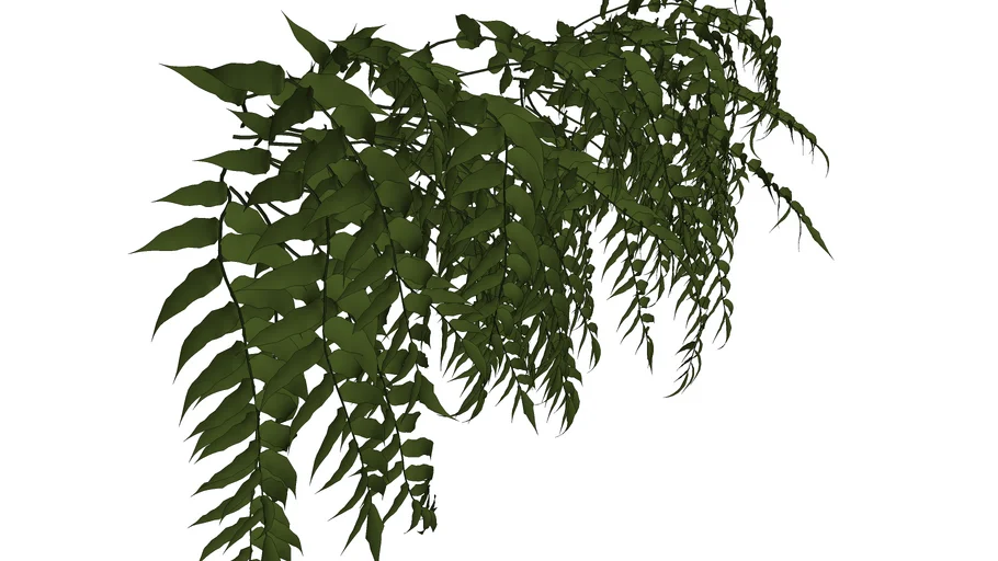 ENREDADERA - climbing plant (VRAY READY)