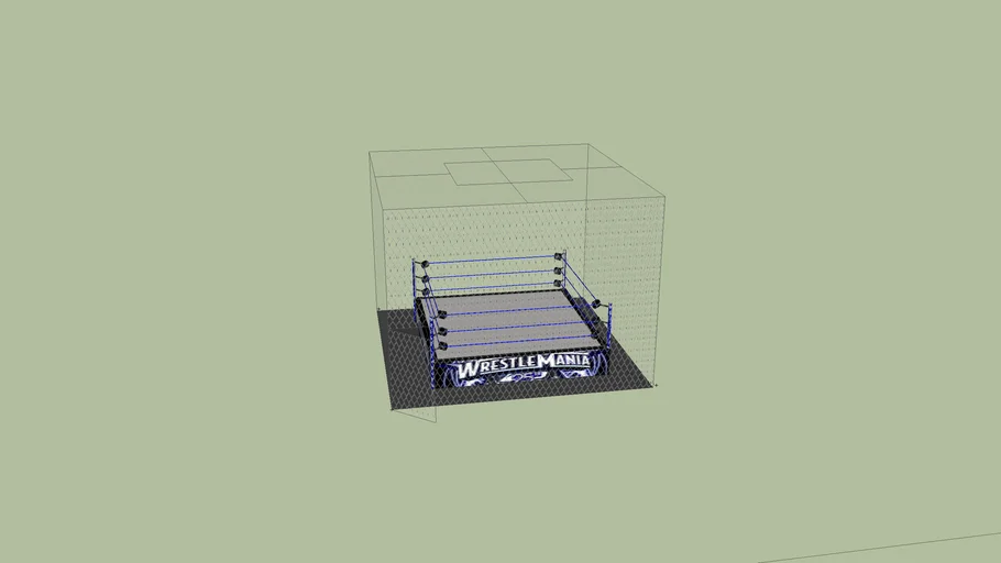 wrestlemania 25 hell in a cell