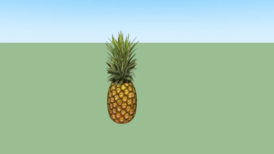 PINEAPPLE