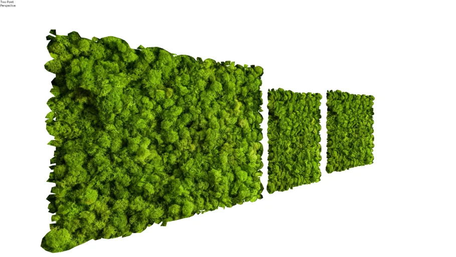 3D Moss