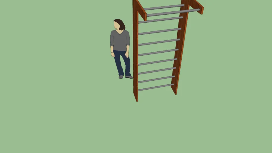 Barra de exercicio academia