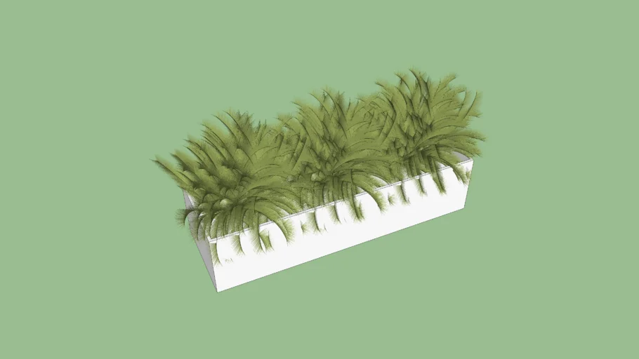 Pot with plant