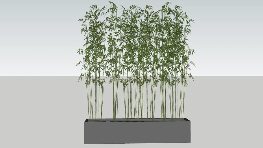 竹子圖 竹子| 3D Warehouse