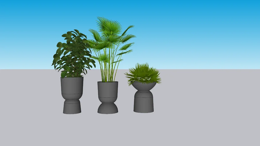 planter plants