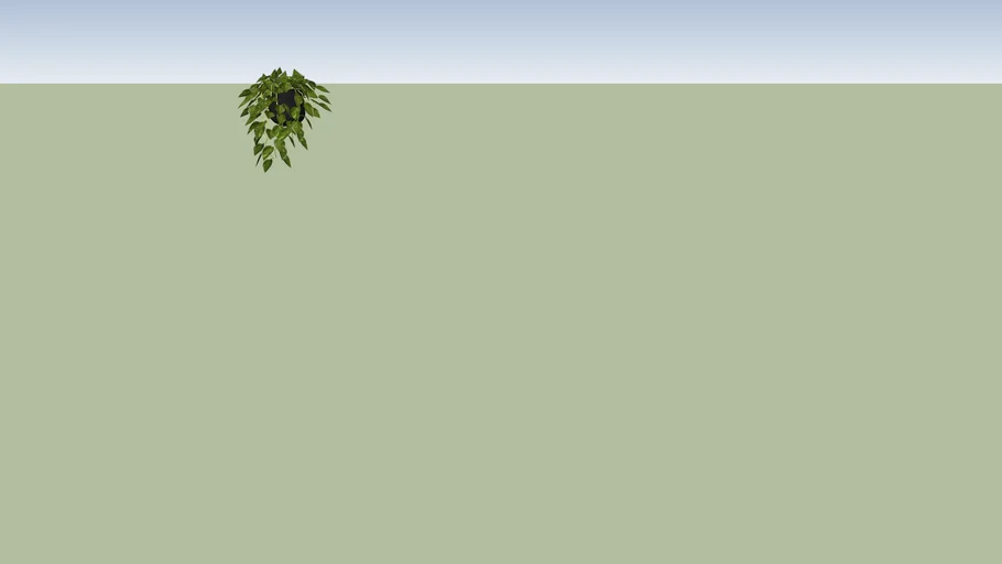 Hanging plant2