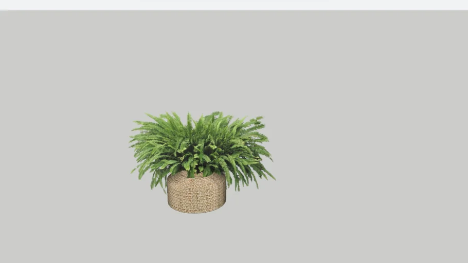 Plant | 3D Warehouse