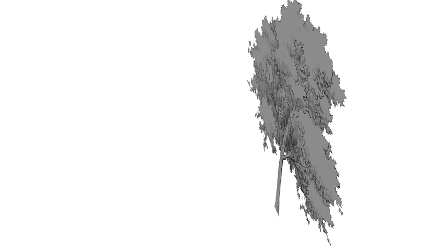 BW tree | 3D Warehouse