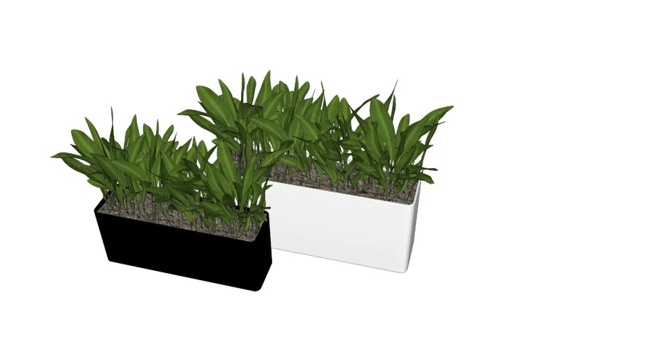 Potted Plant fine detail