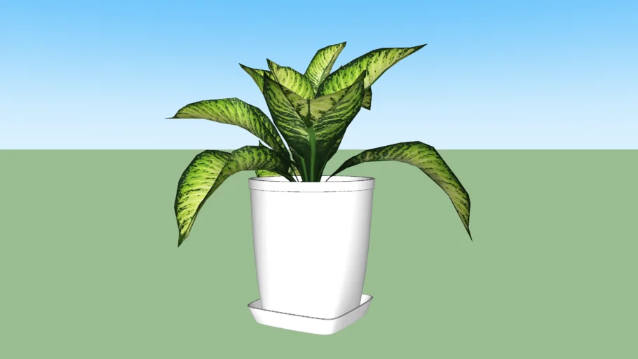 Small Plant for Decor