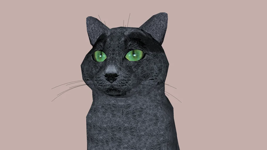 gatto blu di Russia
