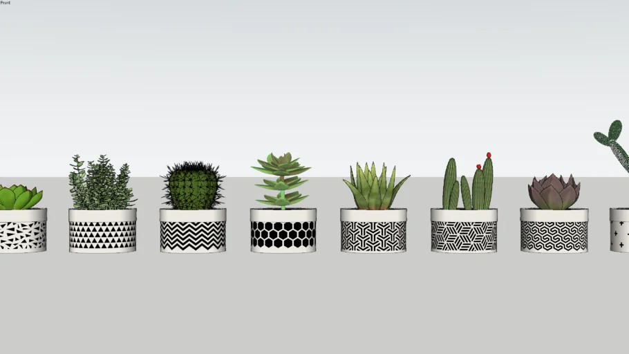 Tiny plant 01