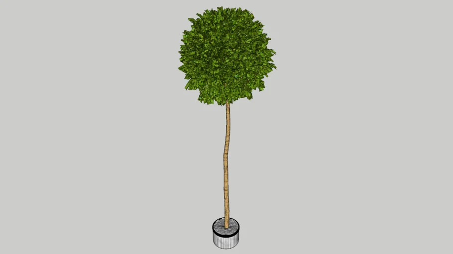 3D Garden Plant in Pot