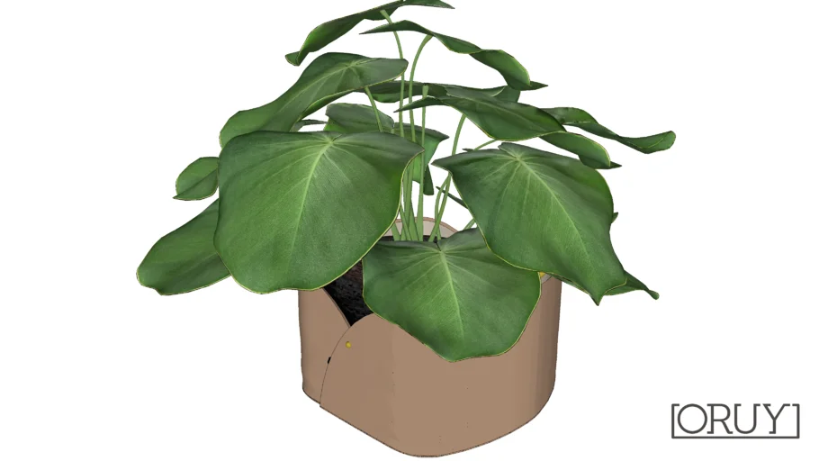 Cachepot Mary Argola P Oruy Paola Cury cachepot planta plant vaso folha vegetação