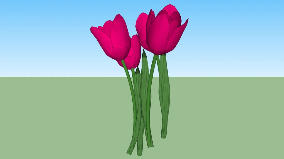 TULIPA