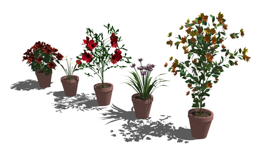 flowers