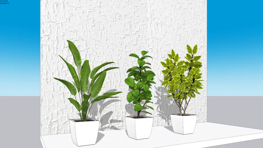 INDOOR PLANTS