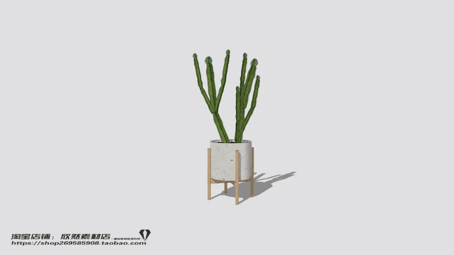Indoor Plant（05）
