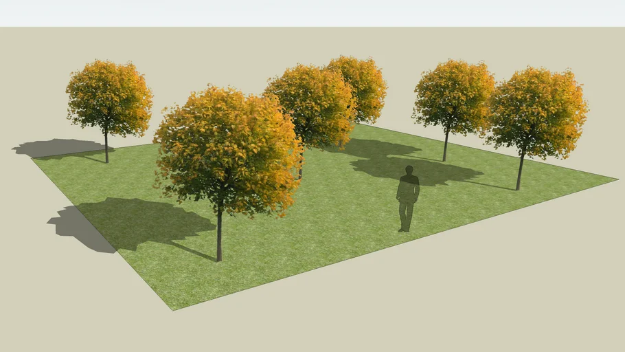 2D Tree Component Example