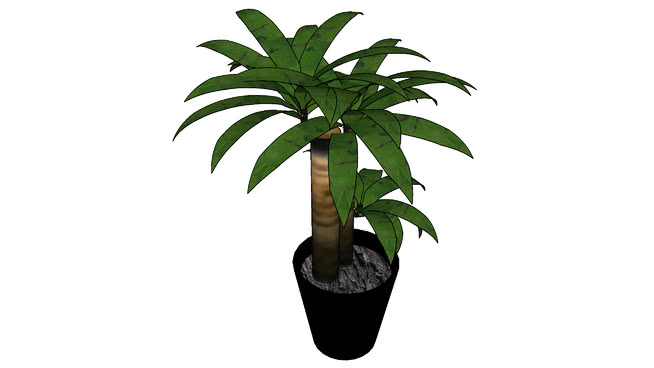plants