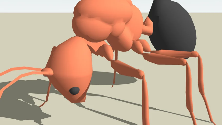 Ant | 3D Warehouse