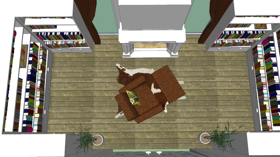 luxurious home library