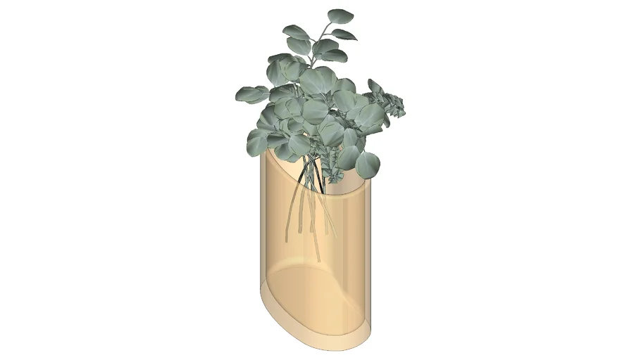 Vaso Eucalipto