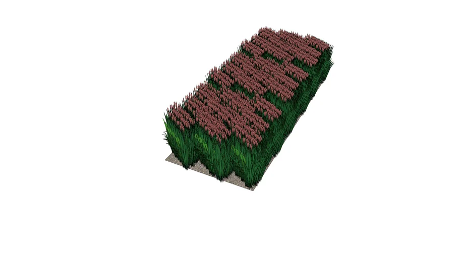 reeds | 3D Warehouse